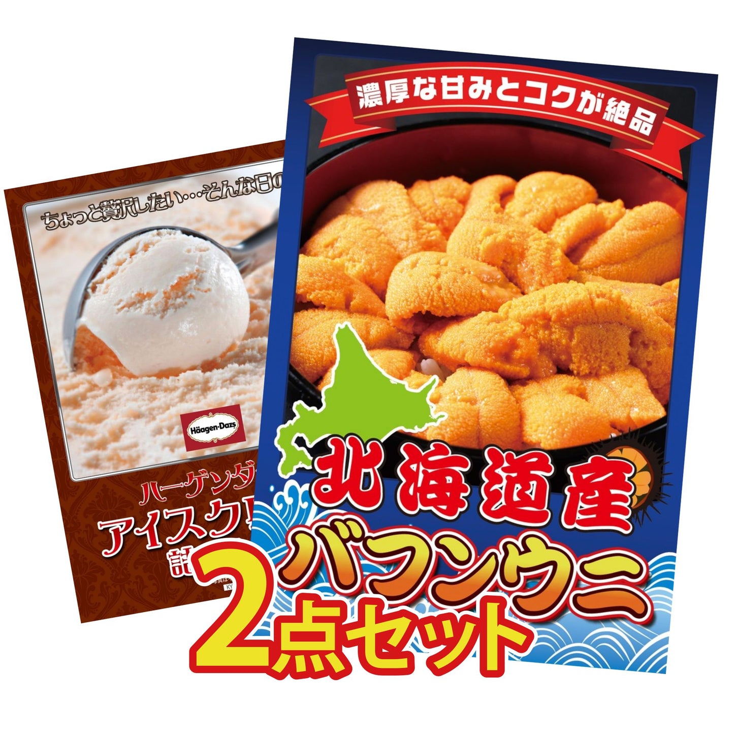 北海道 塩水バフンウニ(100g) 2点セット(KY-317)