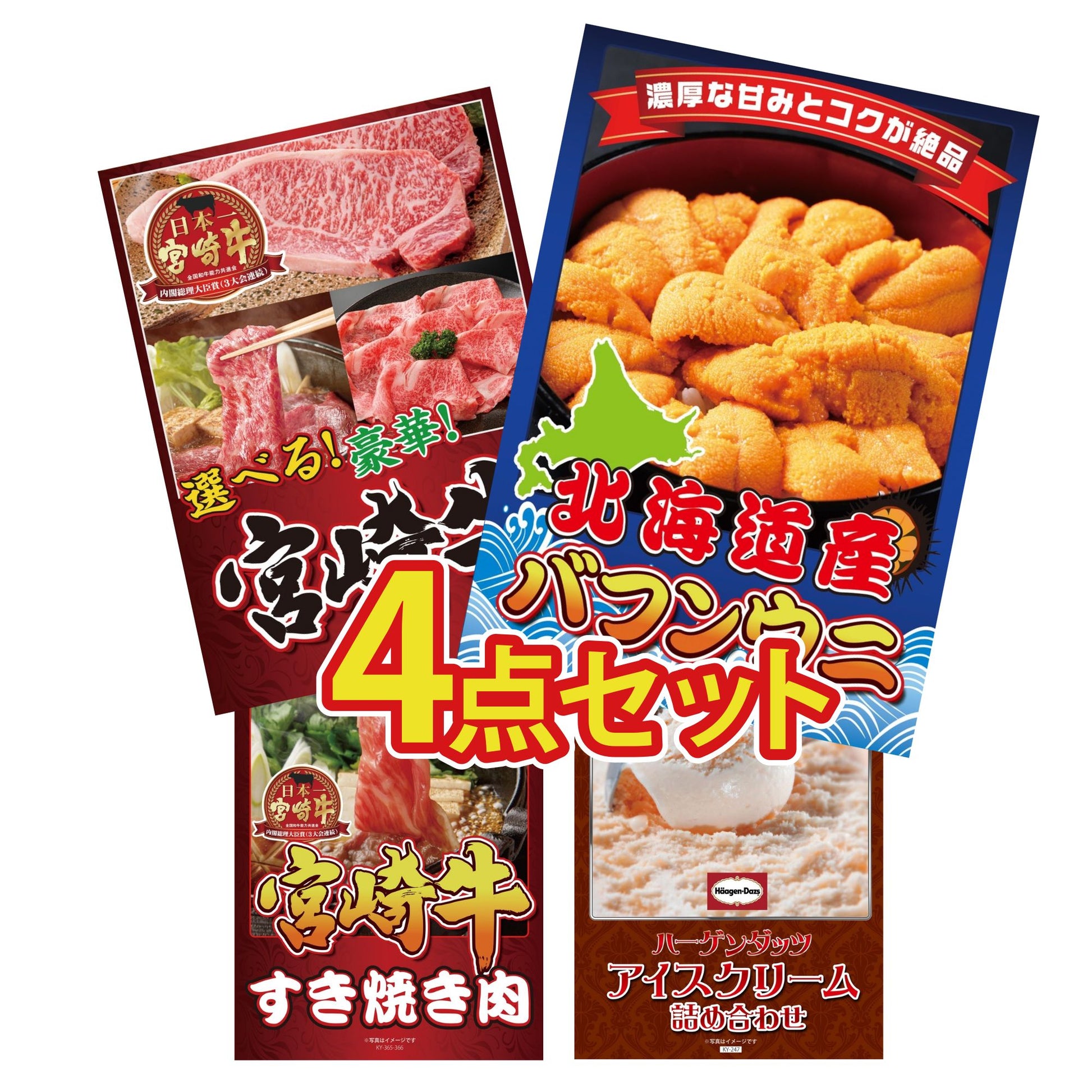 北海道 塩水バフンウニ(100g) 4点セット(KY-317)