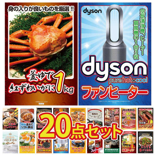 Dyson 空気清浄機が目玉の20点セット（KY-463f1）