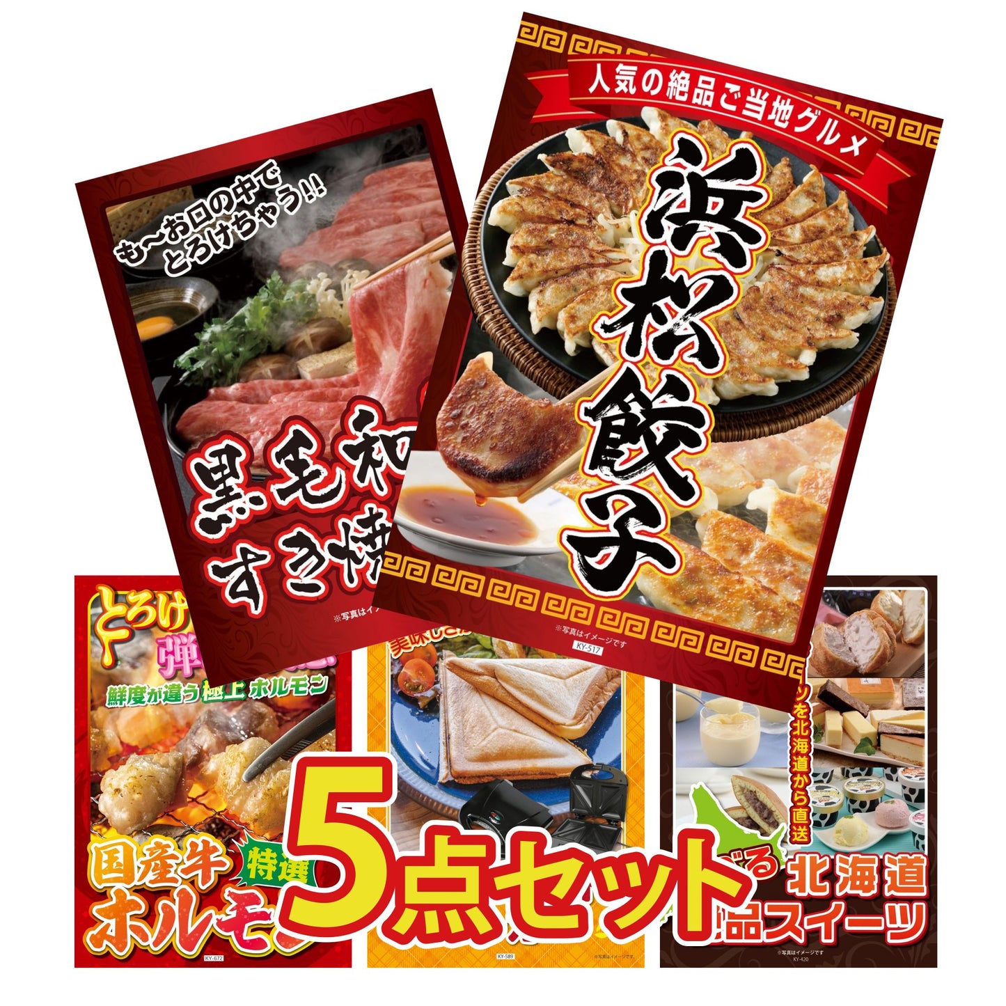 特選はままつ餃子 45個5点セット
