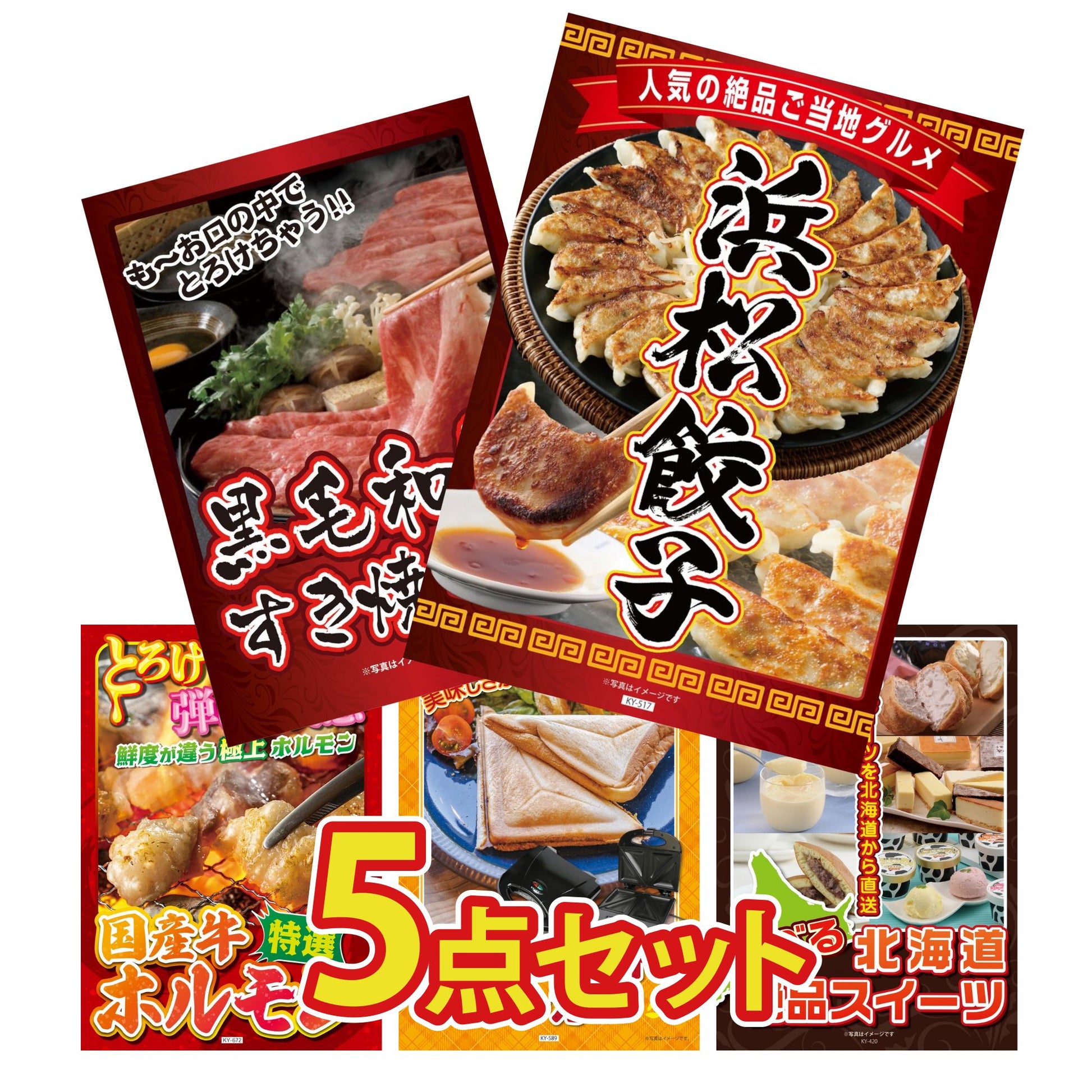 特選はままつ餃子 45個5点セット