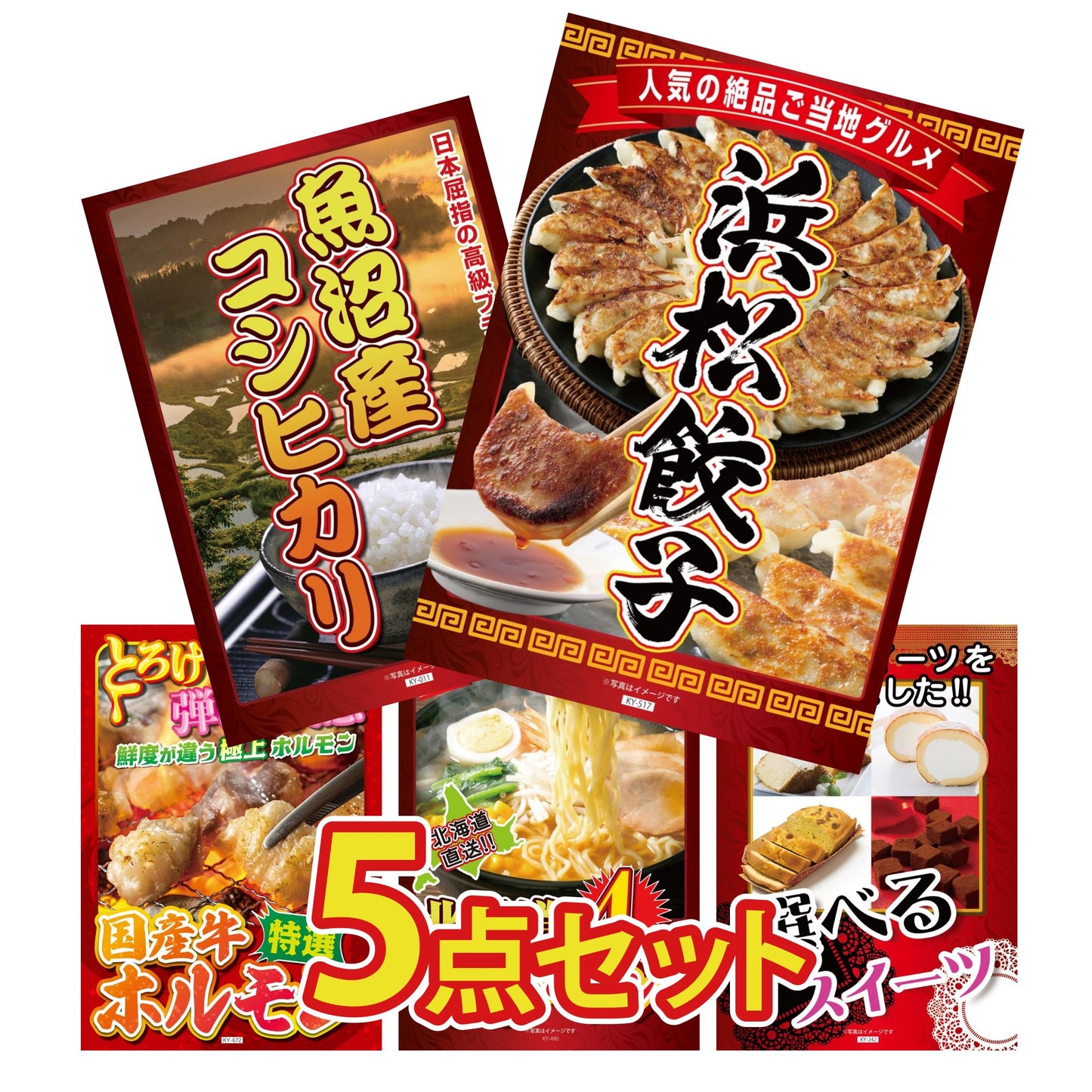 特選はままつ餃子 45個5点セット