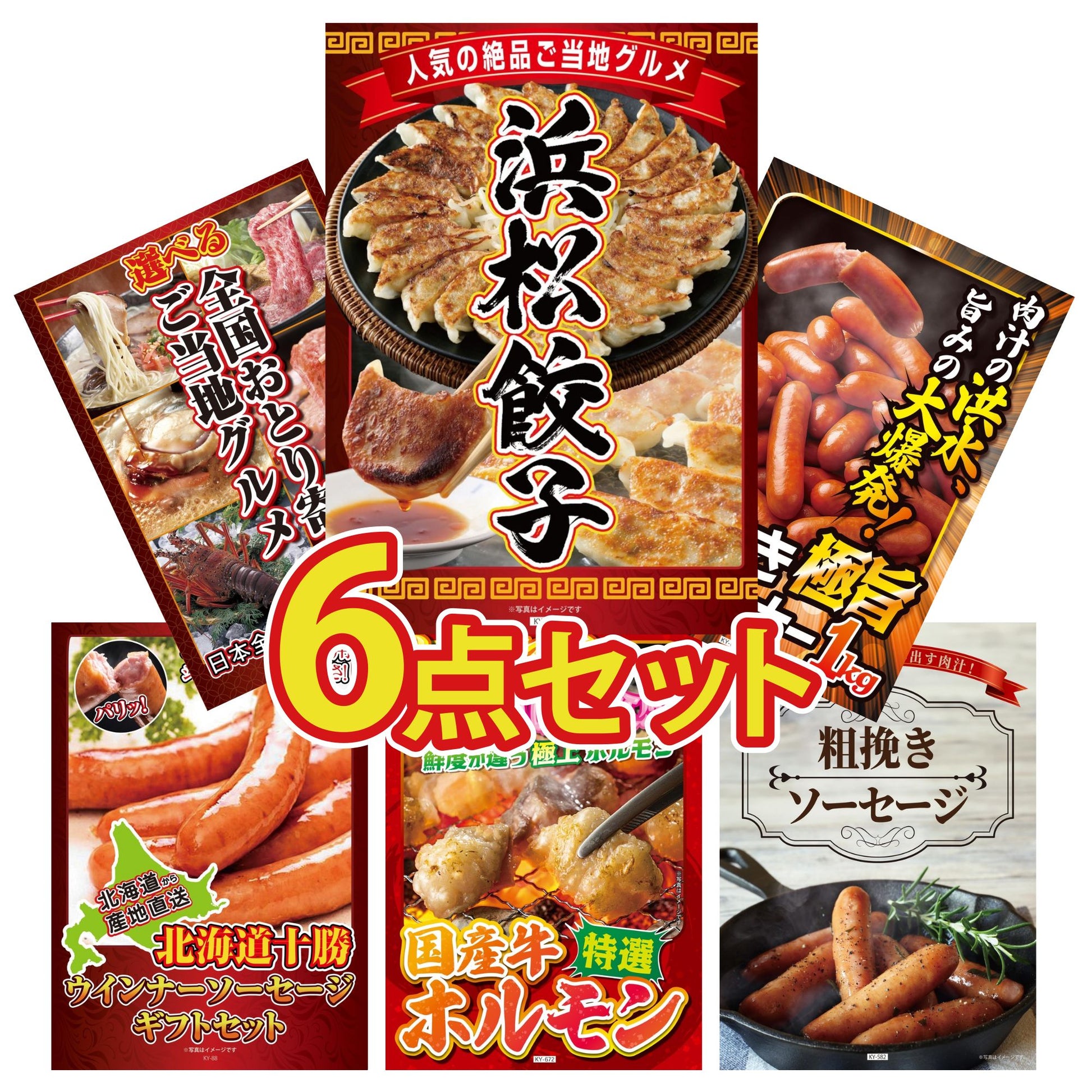 特選はままつ餃子 45個6点セット