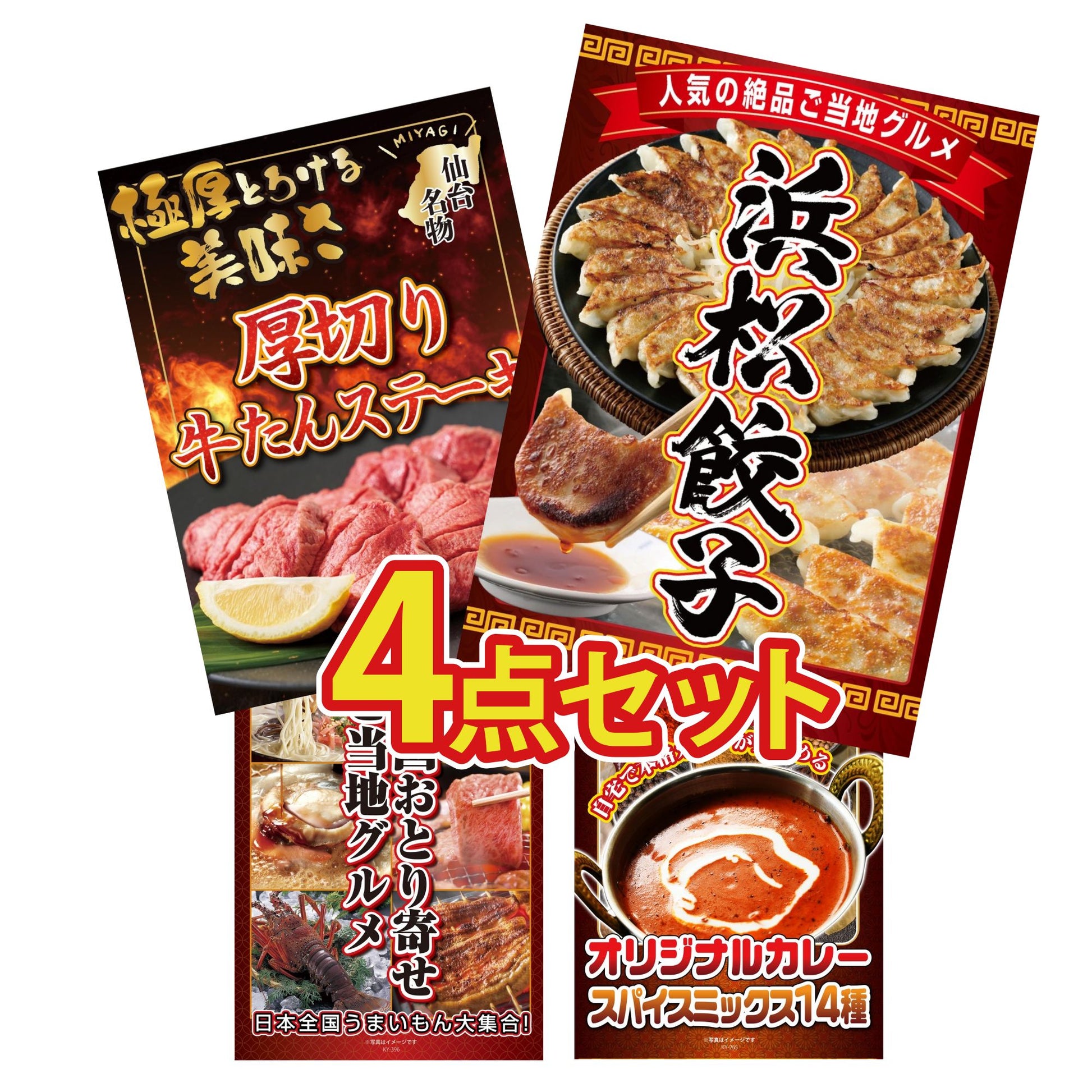 特選はままつ餃子 45個4点セット