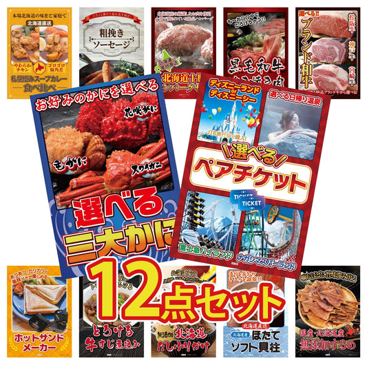 選べるテーマパークペアチケット 12点セット