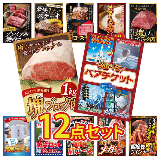 選べるテーマパークペアチケット 12点セット(KY-651)