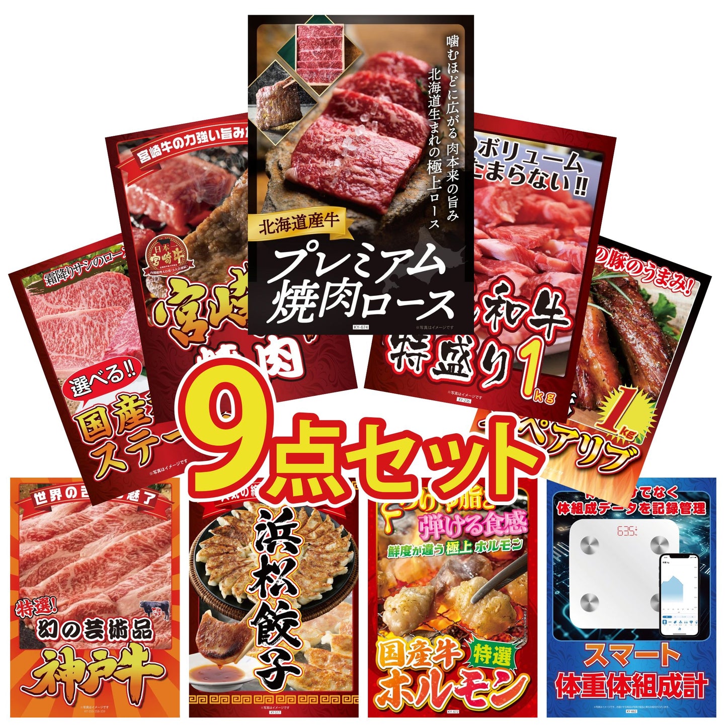北海道産牛プレミアム焼肉ロース9点セット