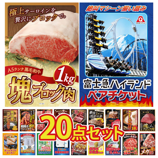 富士急ハイランドペアチケット 20点セット(KY-68)