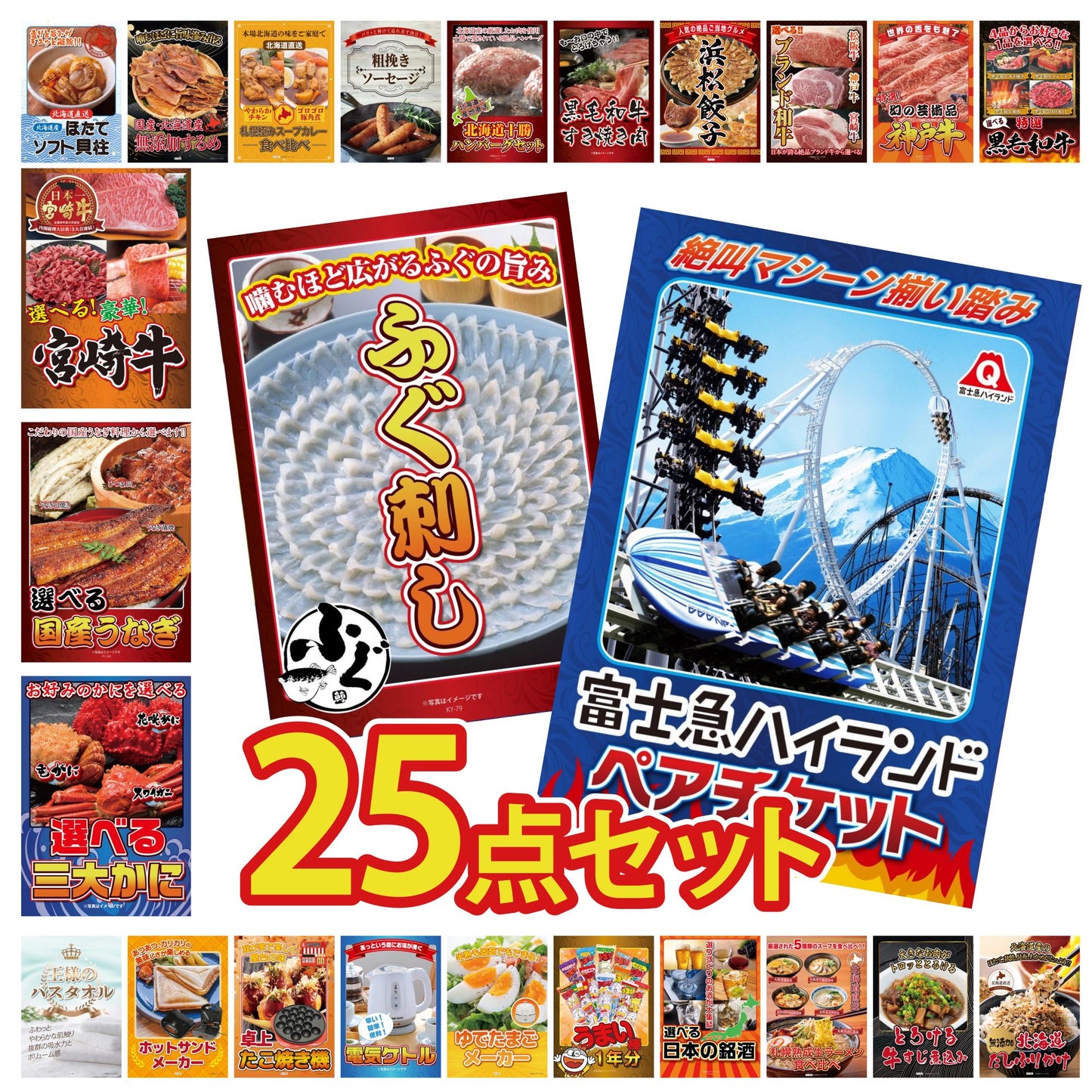 富士急ハイランドペアチケット 25点セット