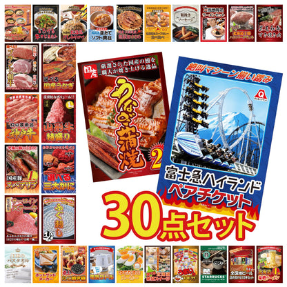 富士急ハイランドペアチケット 30点セット