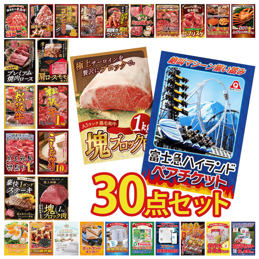富士急ハイランドペアチケット 30点セット(KY-68)