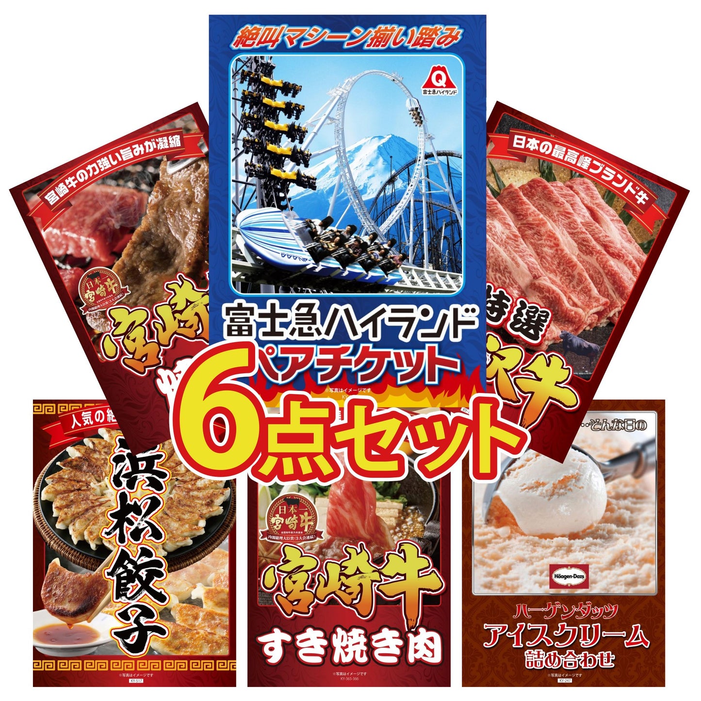 富士急ハイランドペアチケット6点セット