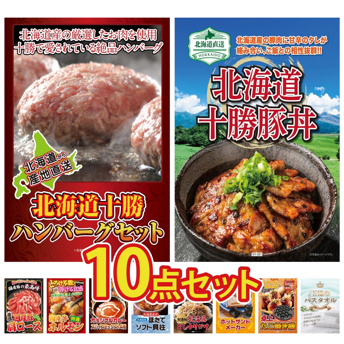 北海道十勝ハンバーグセット 池田町ハンバーグ(100g×5個)10点セット