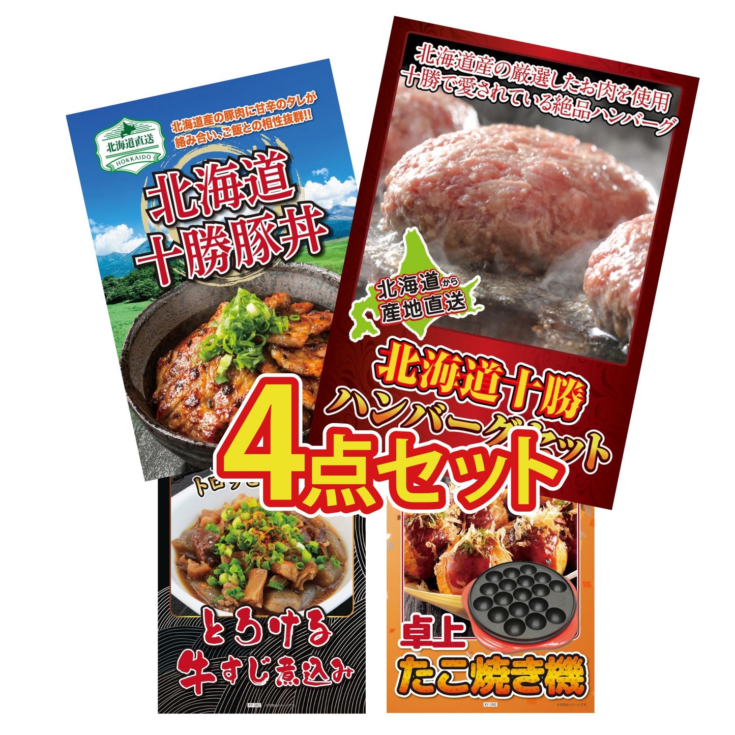 北海道十勝ハンバーグセット 池田町ハンバーグ(100g×5個)4点セット