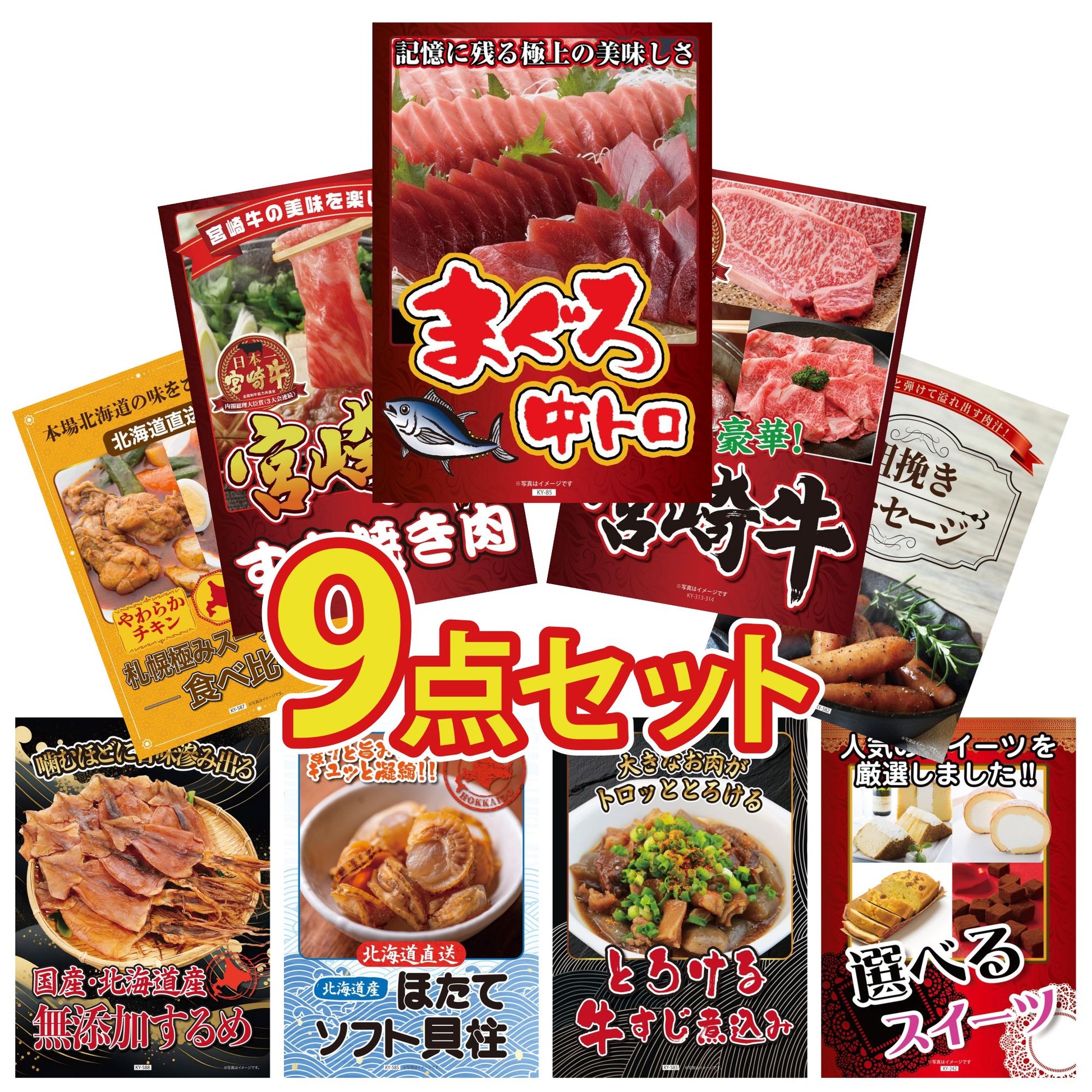 マグロ中トロ(NS1664T) 9点セット