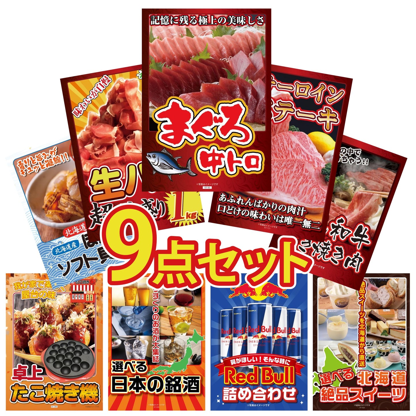 マグロ中トロ(NS1664T)9点セット