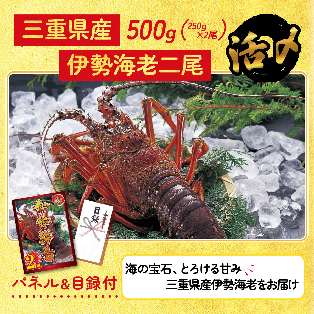 伊勢海老 500g（bbq-001-7-5）5点セット