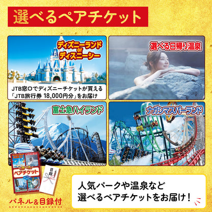 選べるテーマパークペアチケット 12点セット(KY-651)