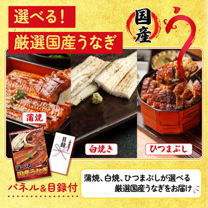 選べる国産うなぎ10点セット