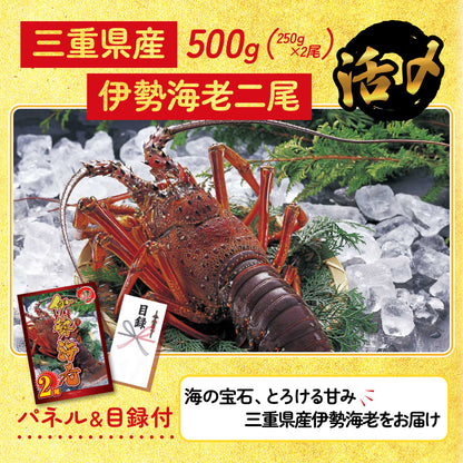 伊勢海老 7点セット(KY-173c)