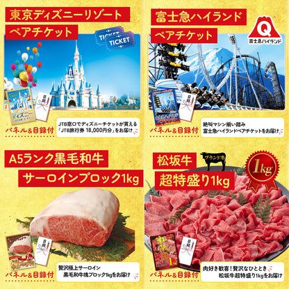 Dyson コードレスクリーナー9点セット