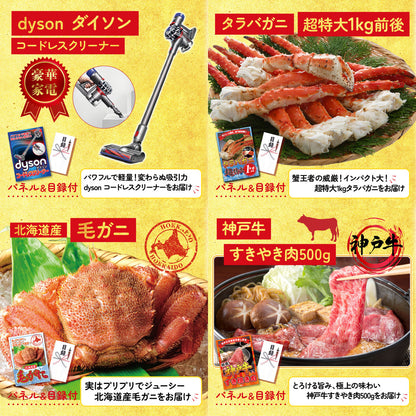 Dyson コードレスクリーナー 30点セット(KY-164)