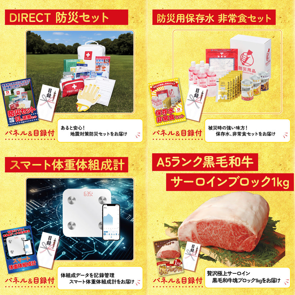 ルンバ 30点セット