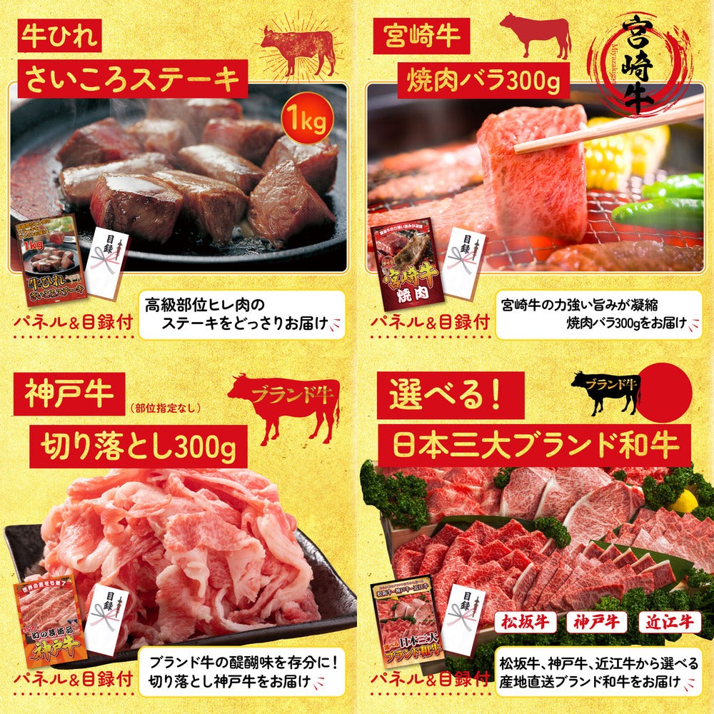 宮崎牛ロースステーキ(150g×2)9点セット