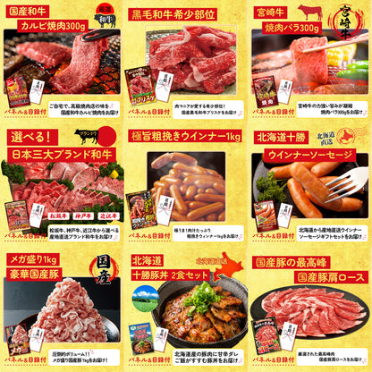 餃子100個(10個入×10) 30点セット