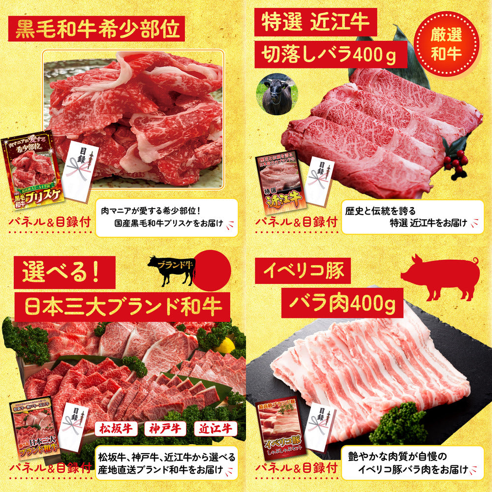 鮮魚お任せセットB(5種)10点セット