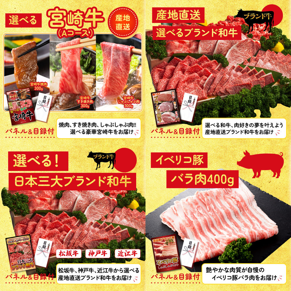 選べる国産うなぎ10点セット