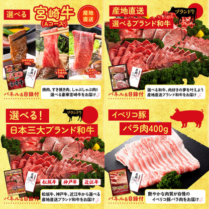 選べる国産うなぎ10点セット