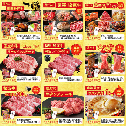 選べるテーマパークペアチケット 30点セット