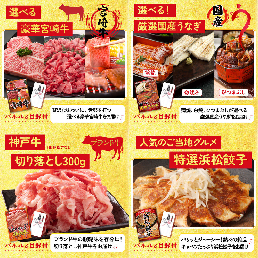 特選米沢牛 10点セット(KY-177)