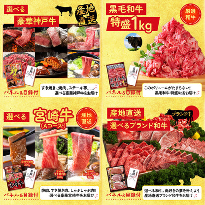 宮崎牛ロースステーキ(150g×2)6点セット