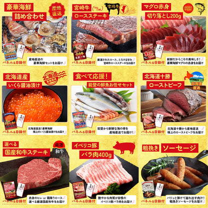 伊勢海老 500g（bbq-001-7-5） 20点セット(KY-173)