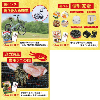 折り畳み自転車(MG-CM16L) 8点セット