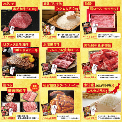 Dyson コードレスクリーナー 20点セット(KY-164)