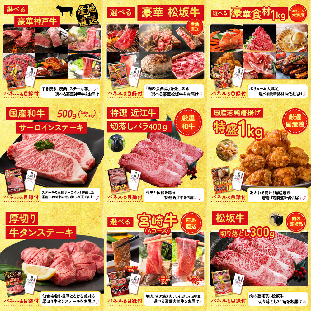 餃子100個(10個入×10) 20点セット(KY-256)