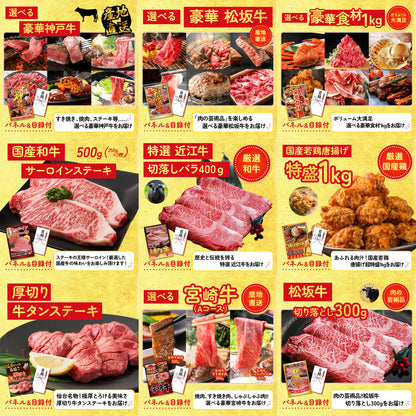 餃子100個(10個入×10) 20点セット(KY-256)