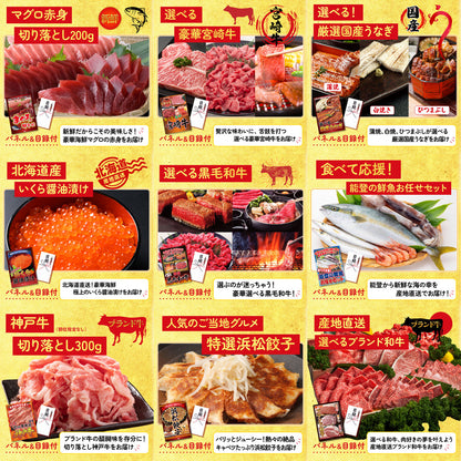 特選米沢牛 20点セット(KY-177)