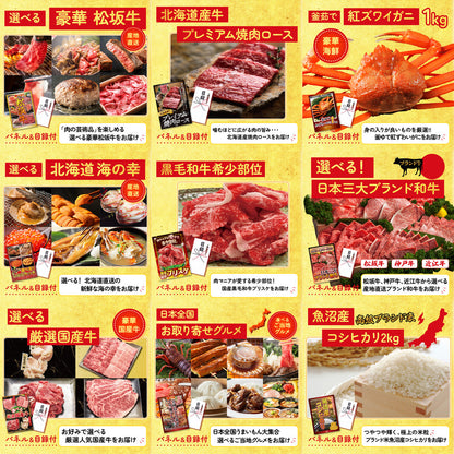 北海道 塩水バフンウニ(100g) 20点セット(KY-317)