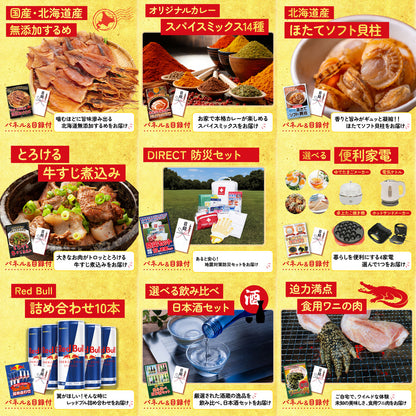 DIRECT 防災グッズセット 20点セット(KY-663)