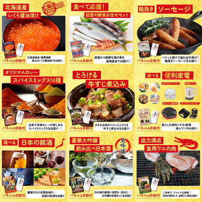 伊勢海老 500g（bbq-001-7-5） 12点セット(KY-173)