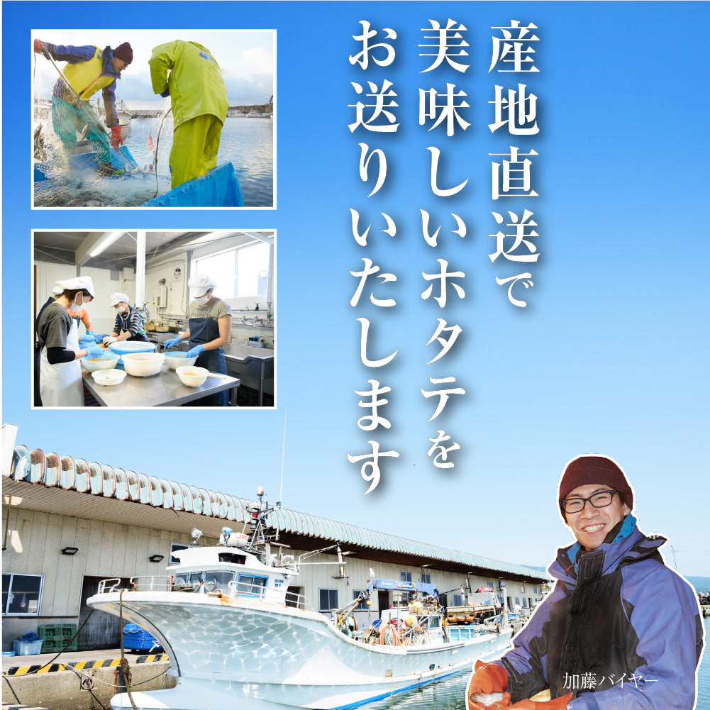 【単品】北海道産ホタテ片貝　特盛り1kg【パネル・目録付き】