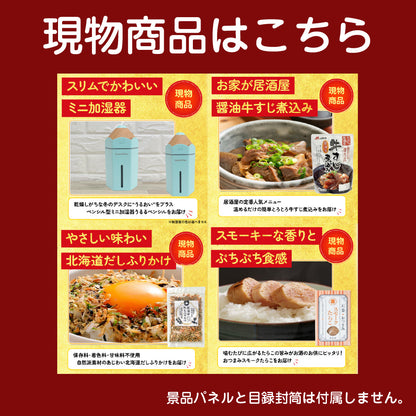 景品 ディズニーペアチケットが目玉！宮崎牛、ハーゲンダッツなど14点セット